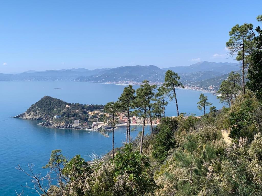 La Pergola Dei Paggi Villa Sestri Levante Exterior photo